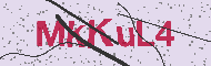 Güvenlik Kodu