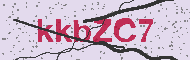 Güvenlik Kodu